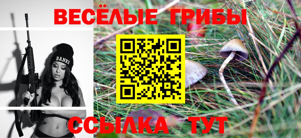 Псилоцибиновые грибы ЛСД Майский